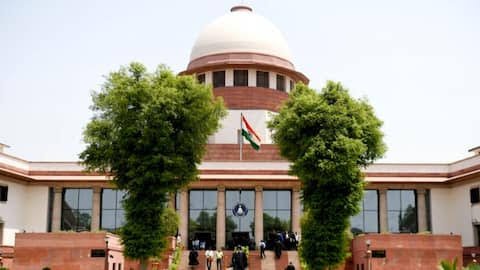 Delhi HC clarifies BLA verification responsibility.